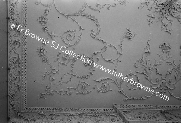 BROWNSHILL HOUSE CEILING OF DRAWING ROOM